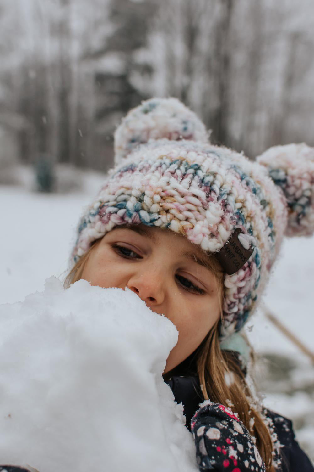 Fall/Winter Collection Double Pompom Toque